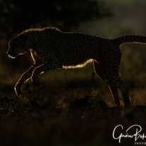 tb__o4a4424-2web.jpg