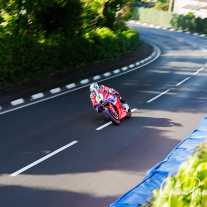 tb__o4a5141small.jpg