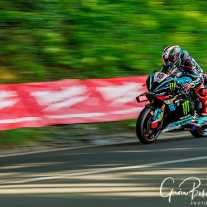 tb__o4a5772small.jpg