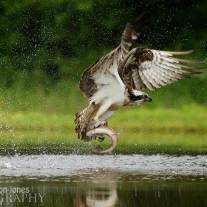 tb_a11z5796_edited_2.jpg
